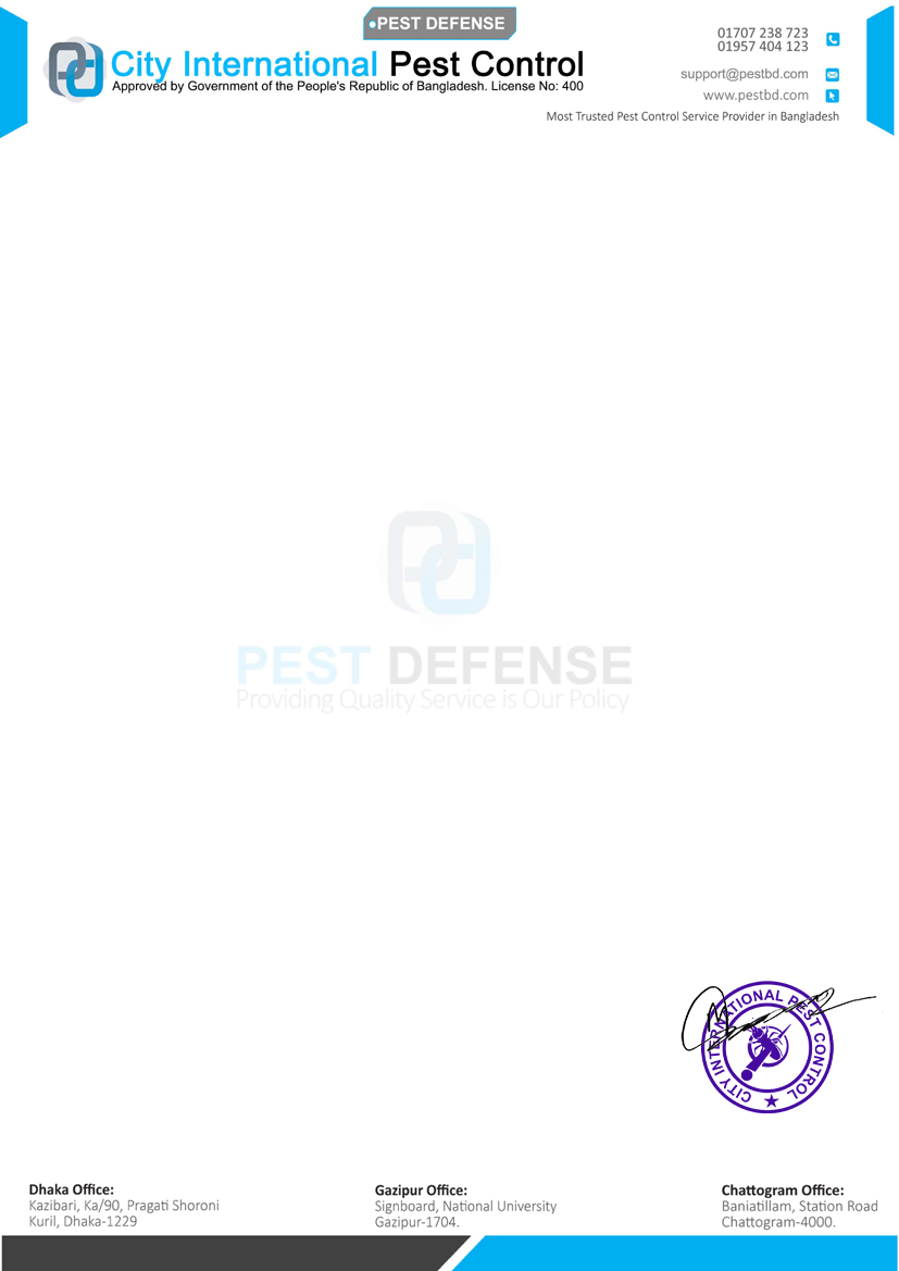 Invoice Background