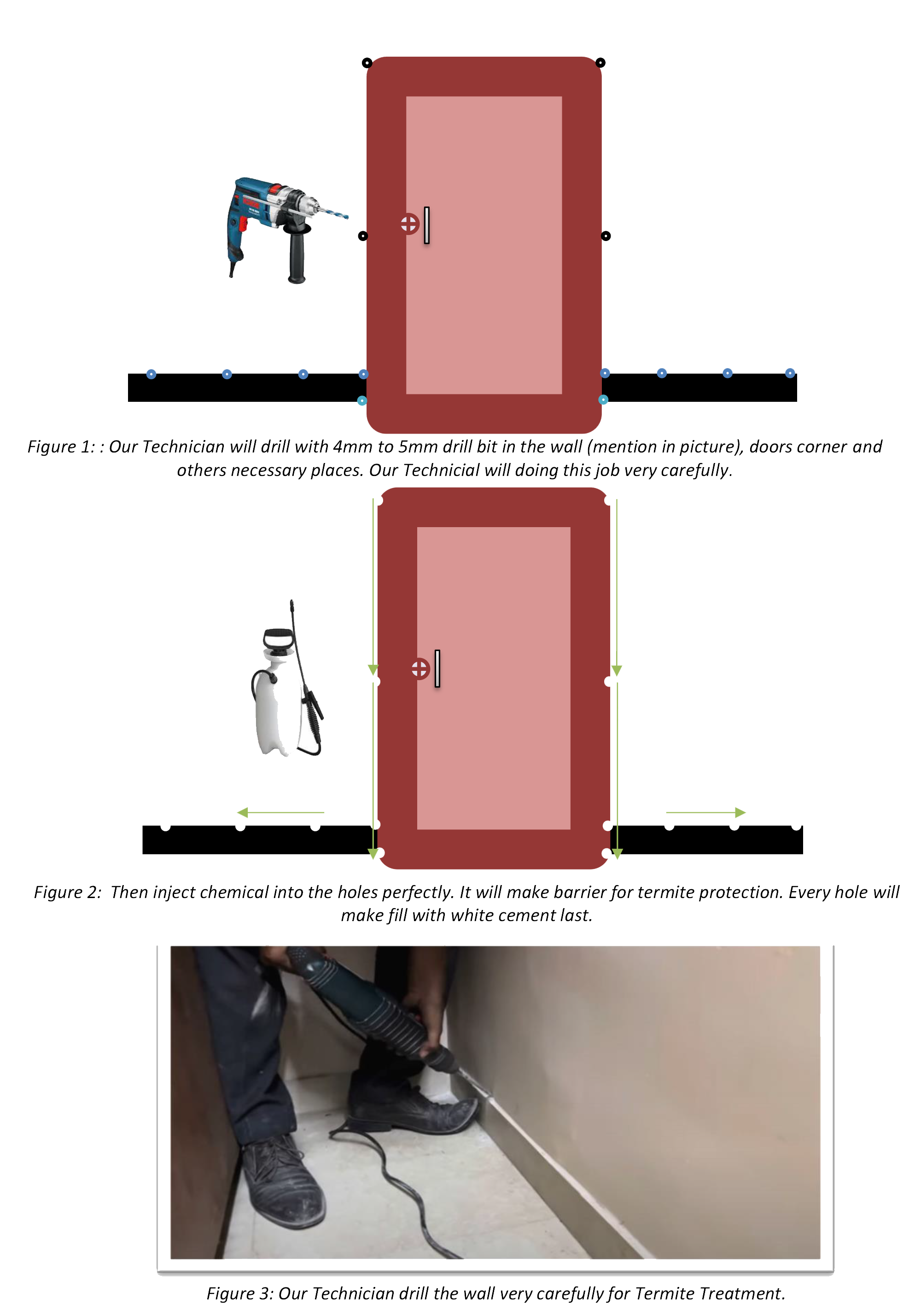 Termite control process diagram