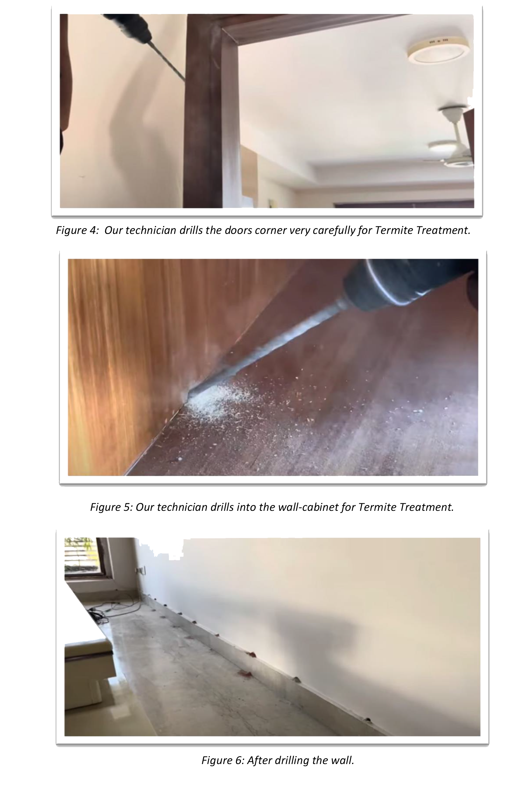 Termite control process diagram
